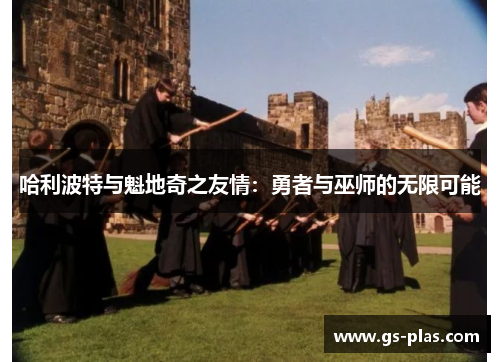 哈利波特与魁地奇之友情：勇者与巫师的无限可能